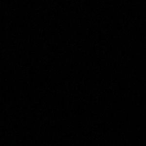 Meet your Posher, Eva